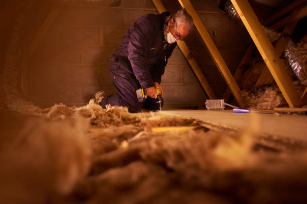 Best Insulation Replacement Services  in Grafton, WV